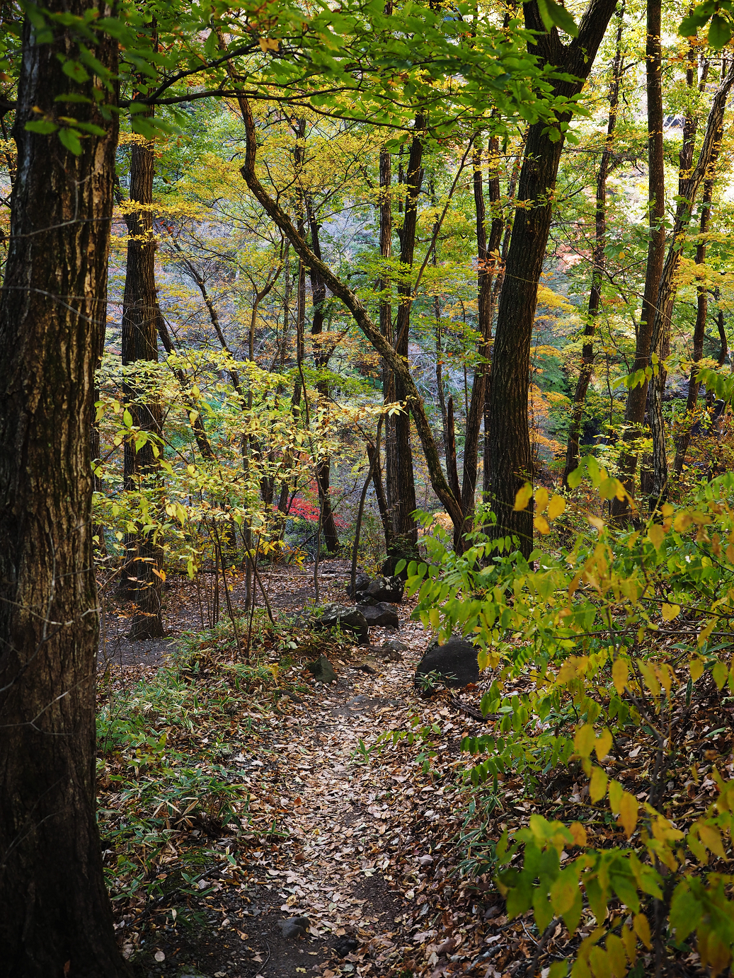 PA310166.jpg