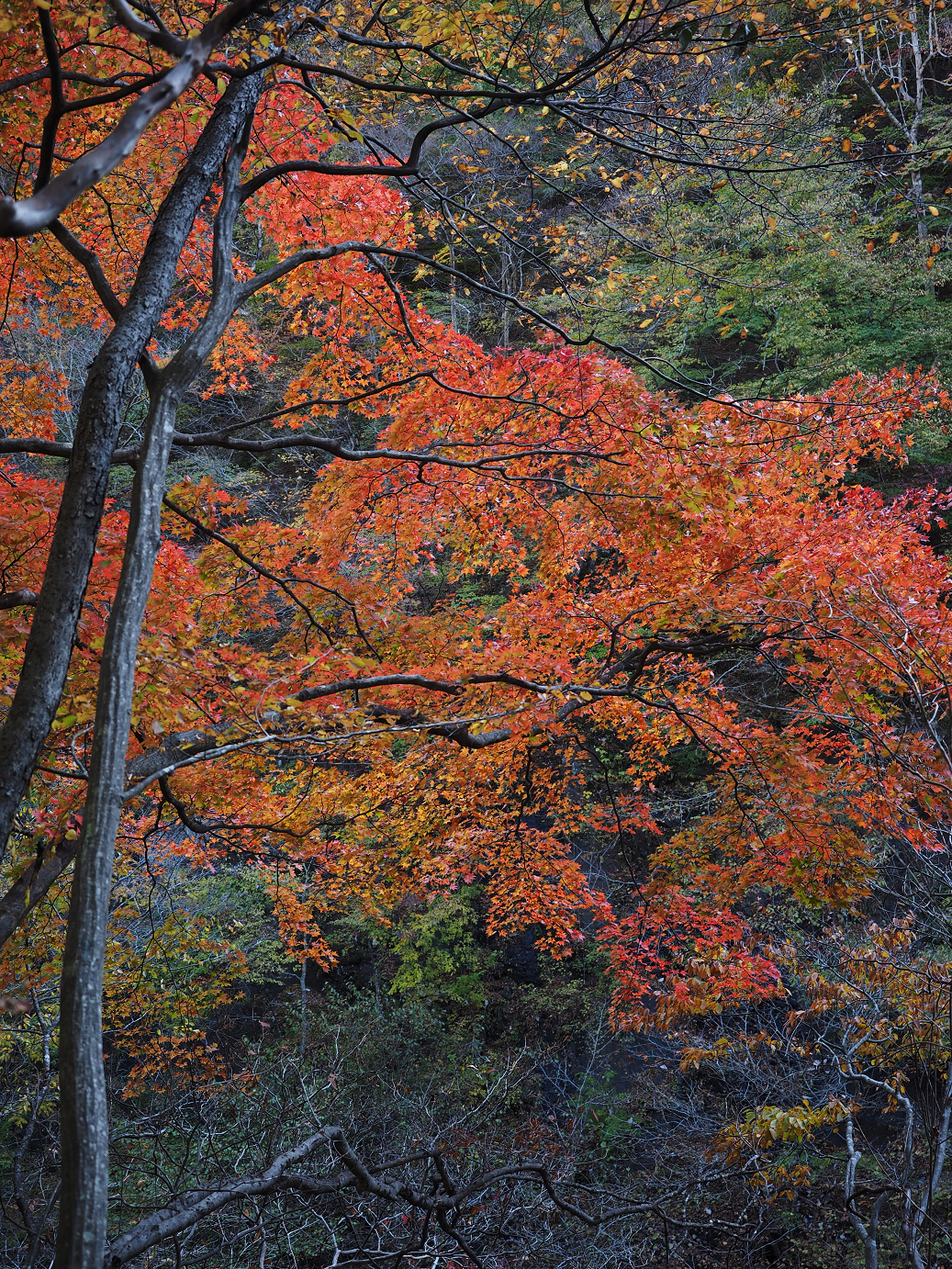 PA310168.jpg