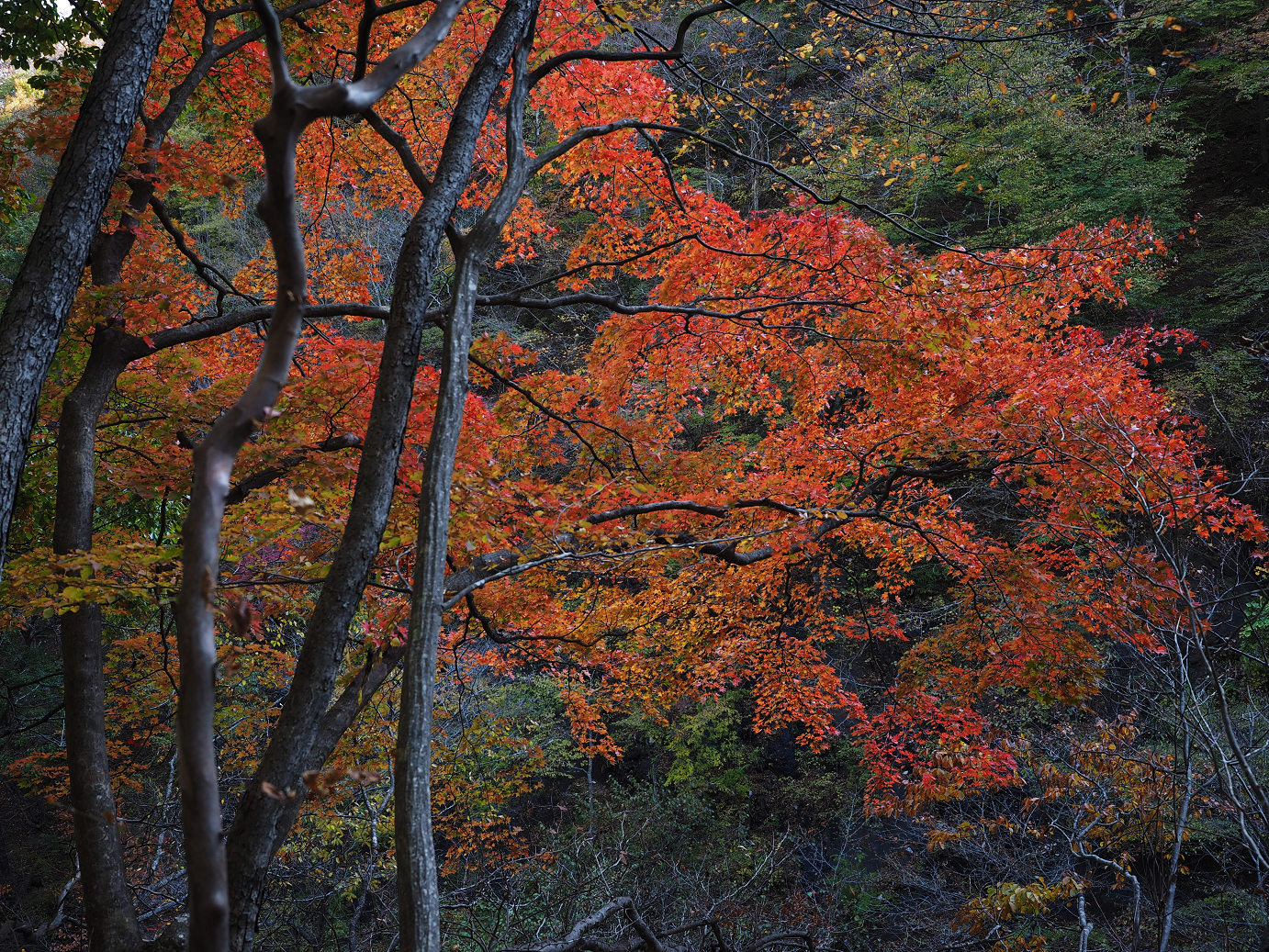 PA310169.jpg