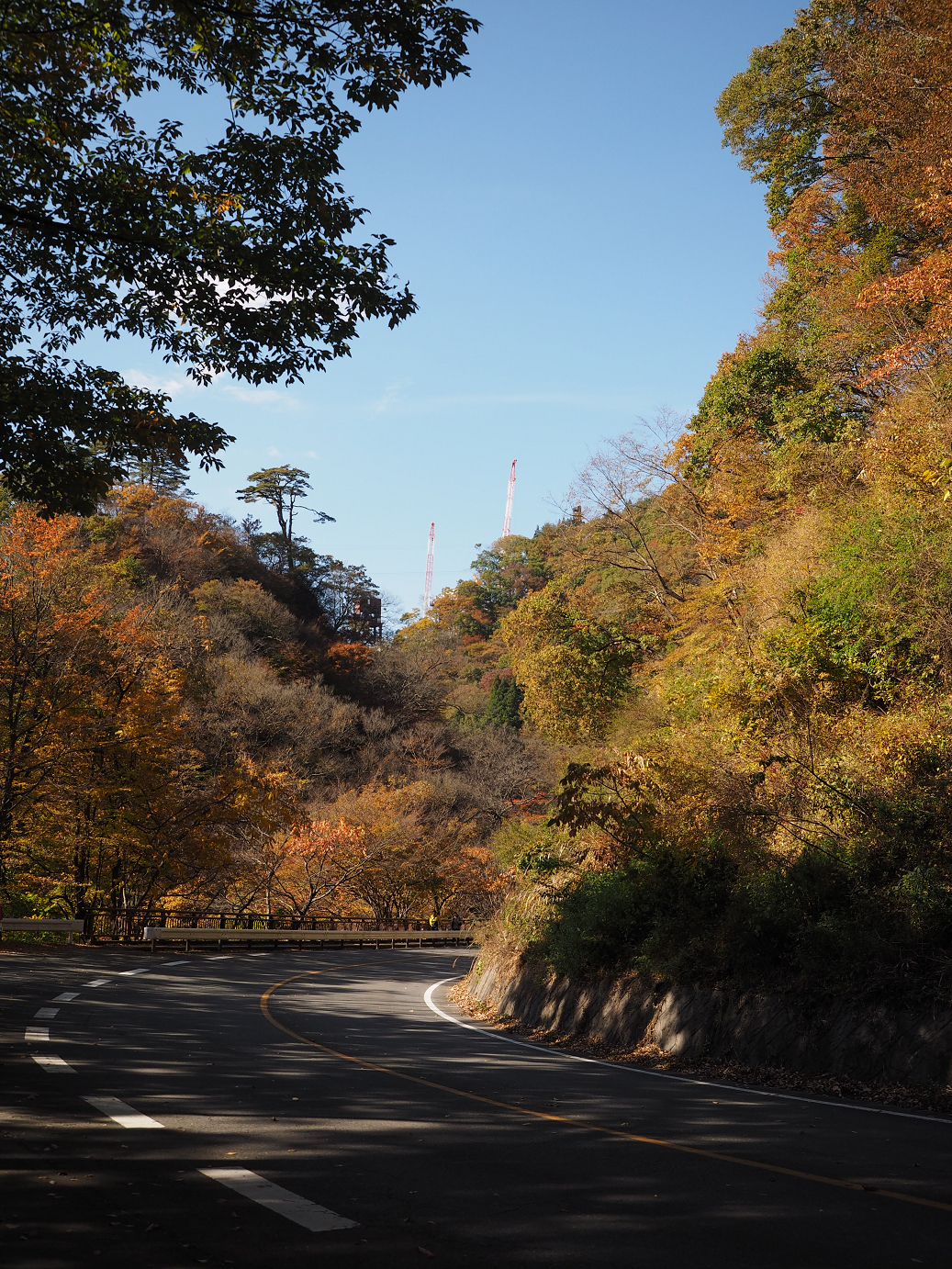 PA310172.jpg
