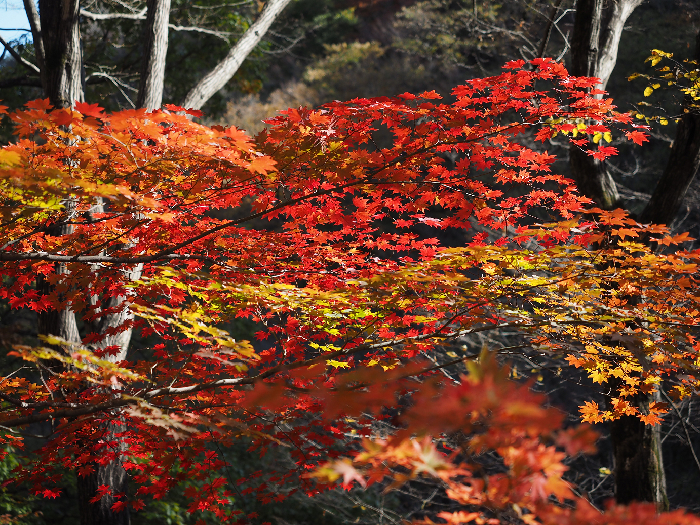PA310173.jpg