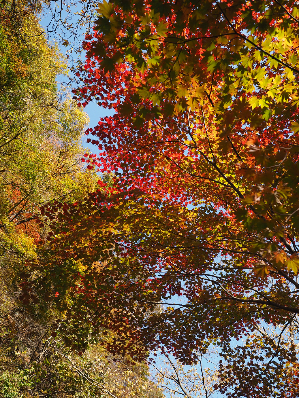 PA310175.jpg