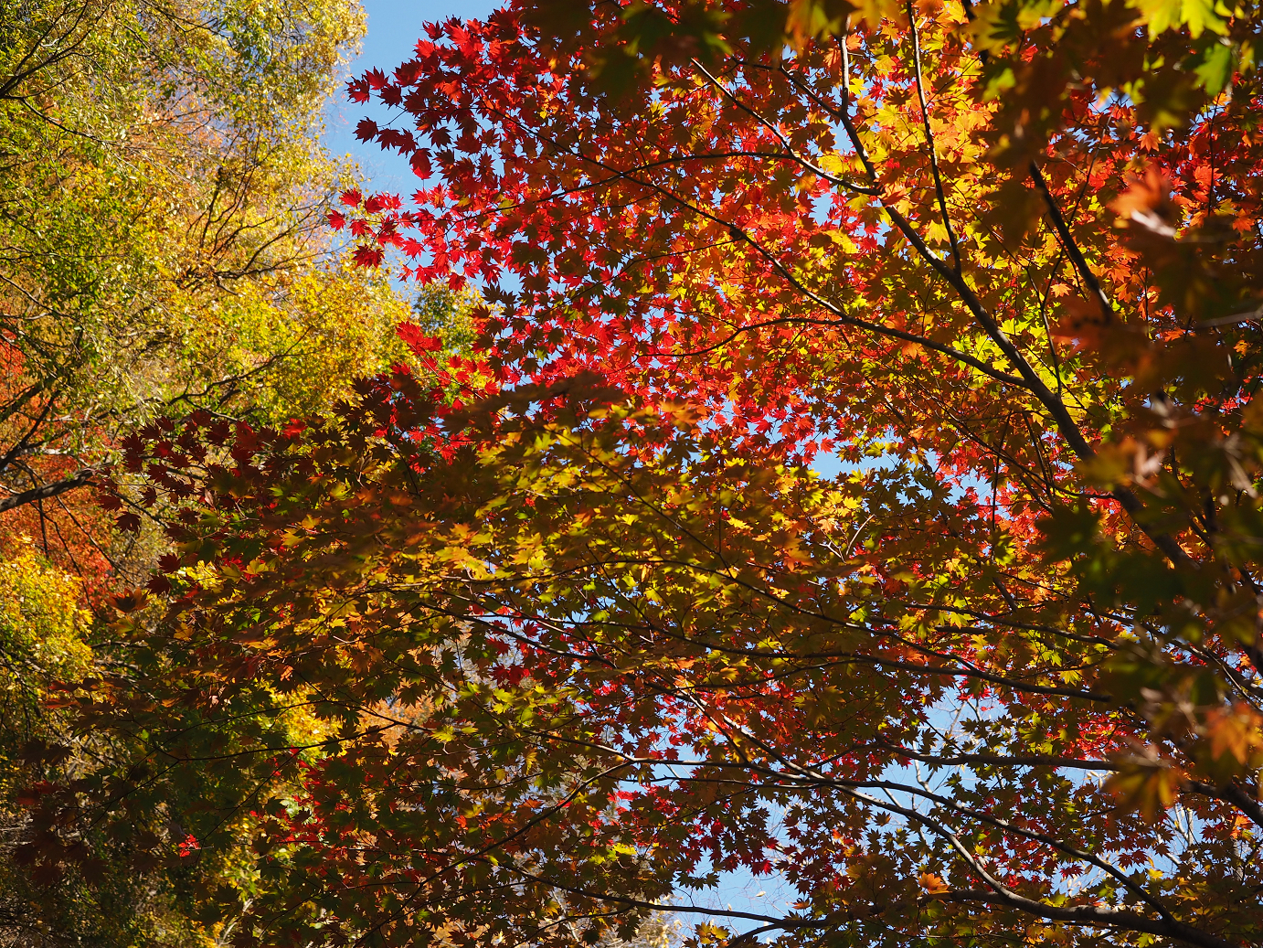 PA310176.jpg