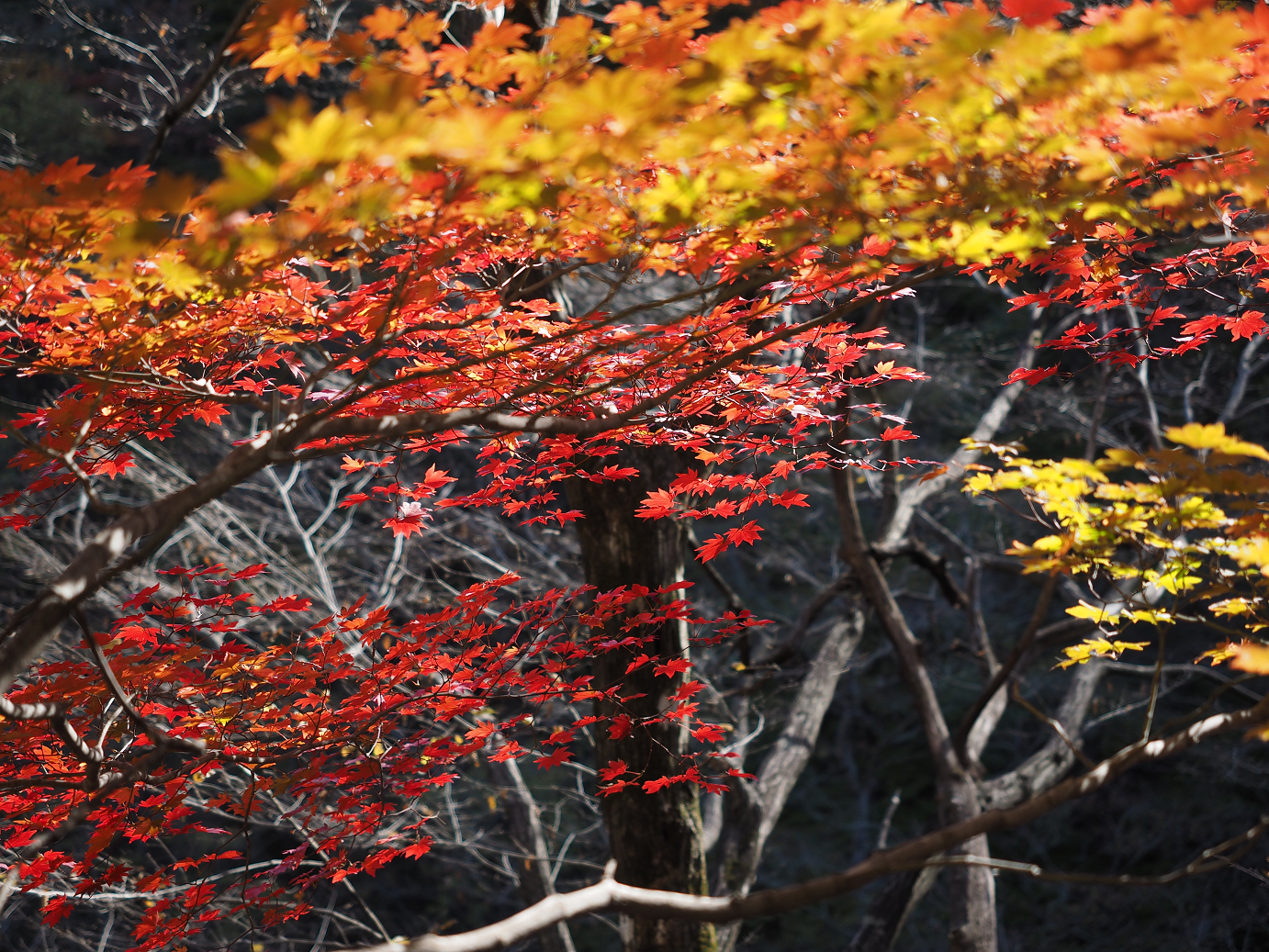 PA310178.jpg