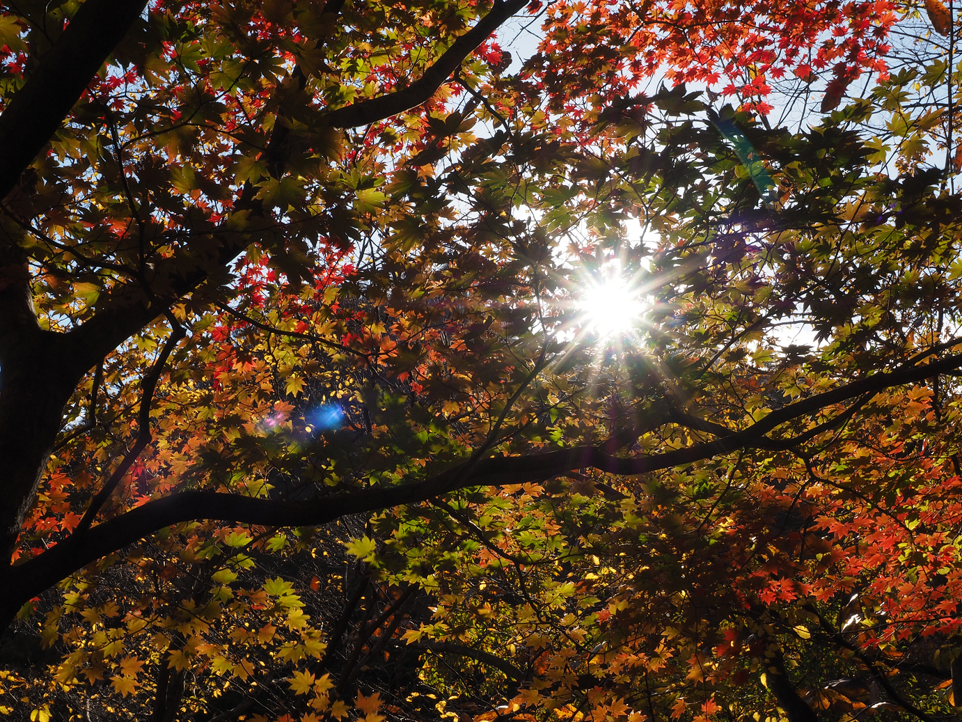 PA310190.jpg