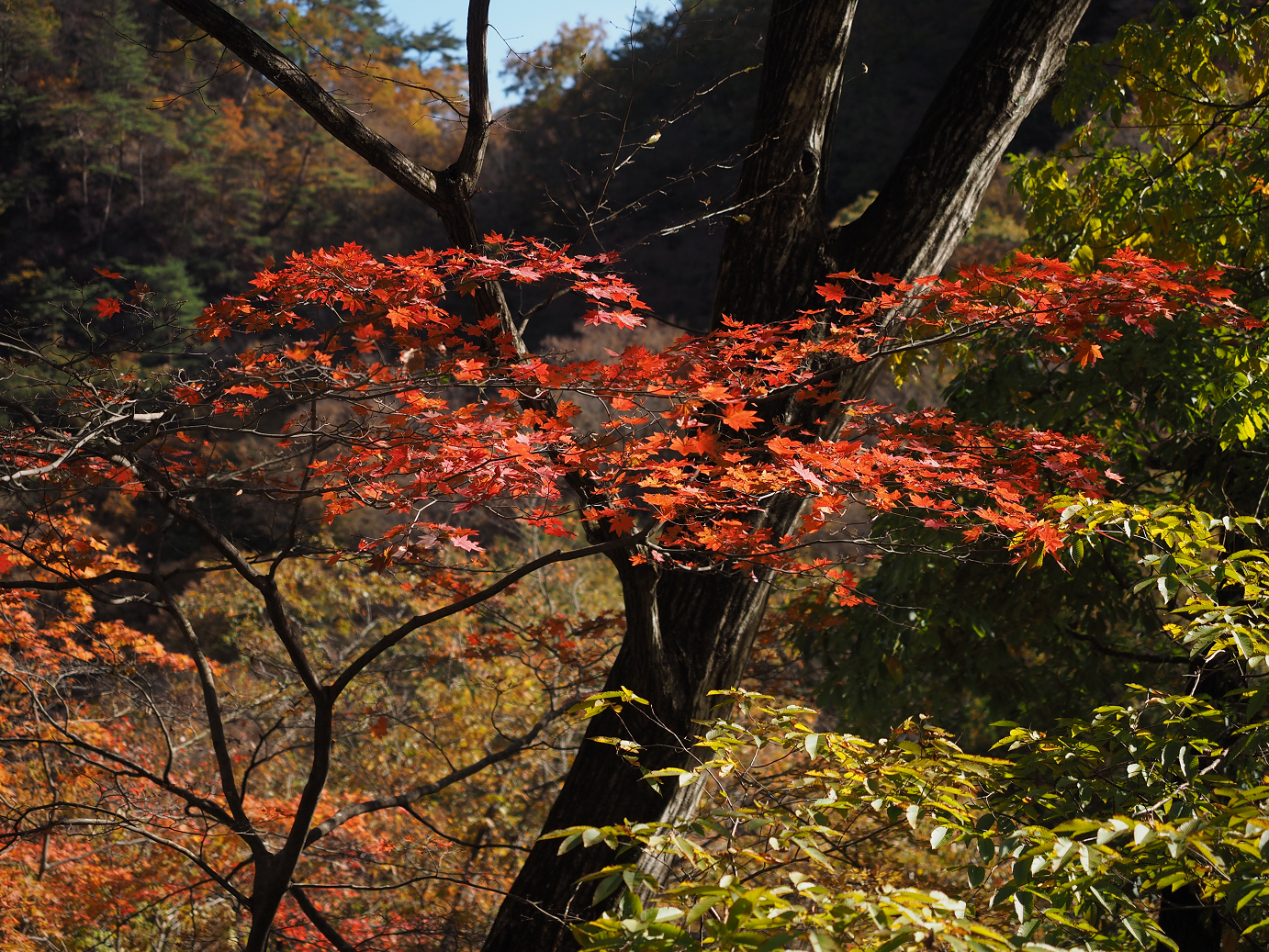 PA310200.jpg