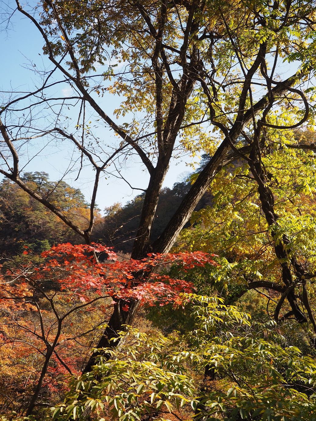 PA310203.jpg