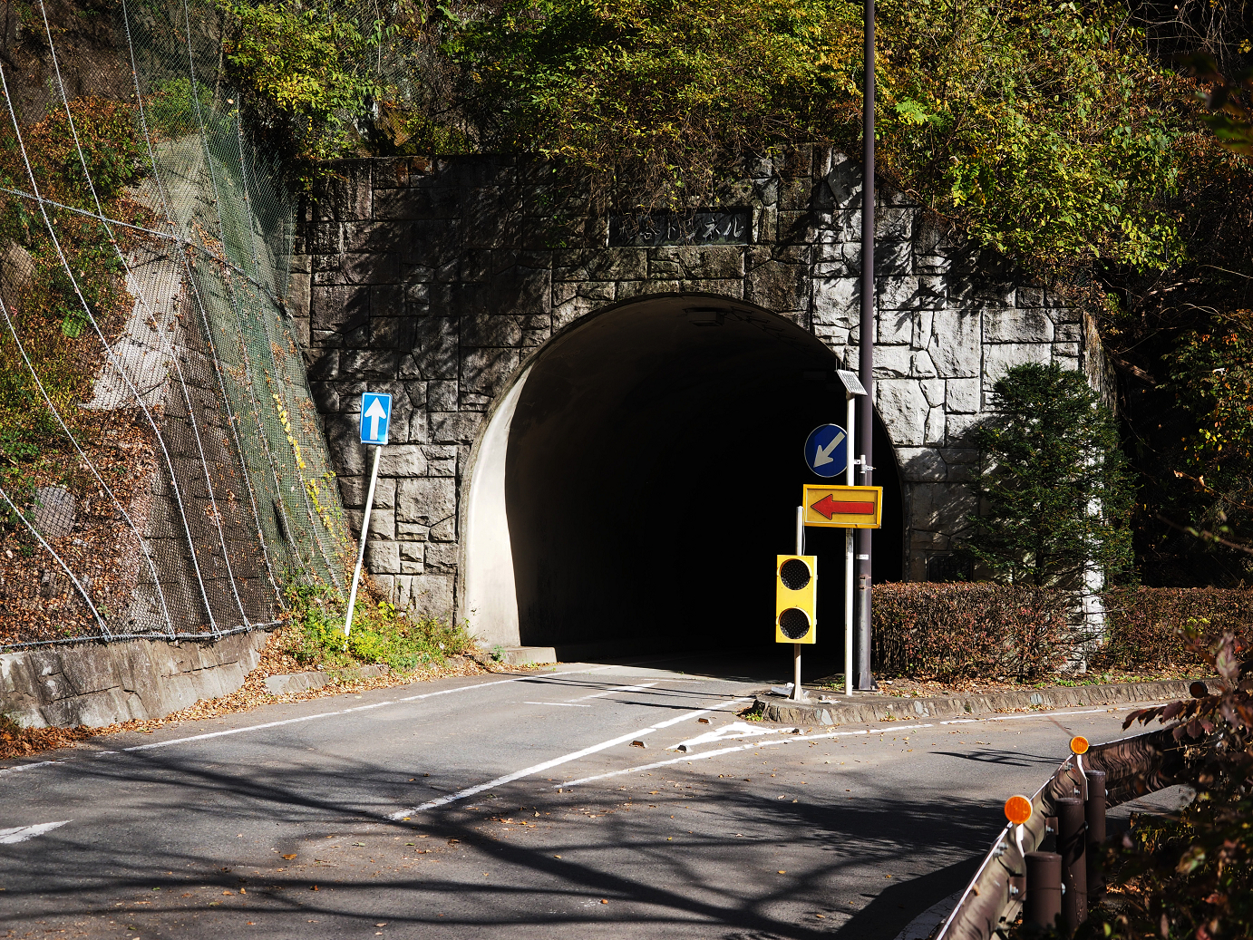PA310204.jpg