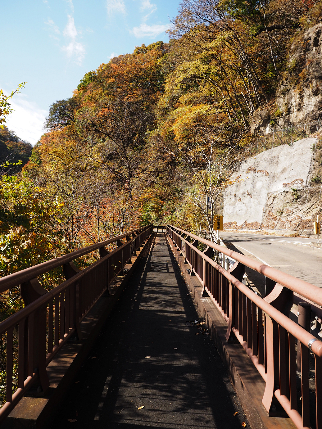 PA310208.jpg