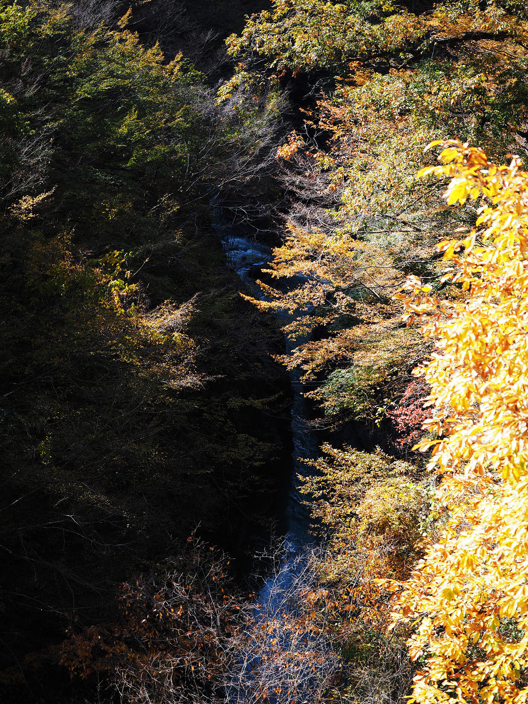 PA310210.jpg