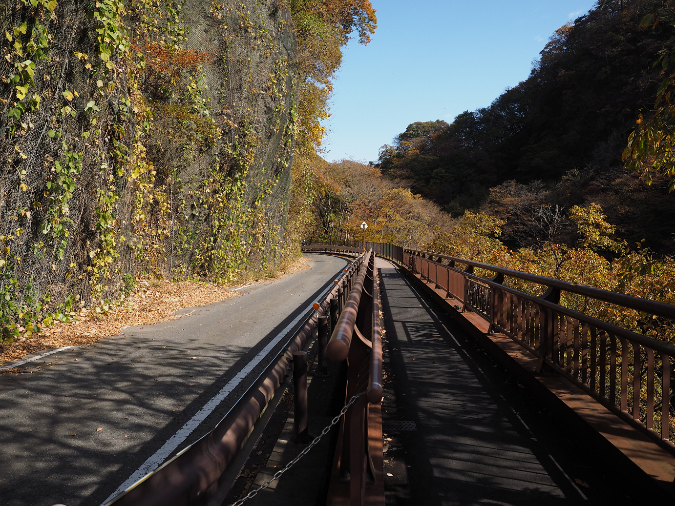 PA310213.jpg