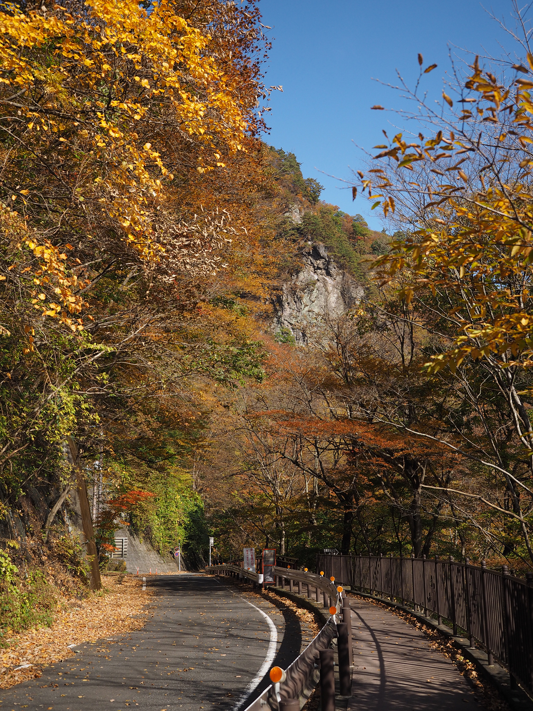 PA310214.jpg