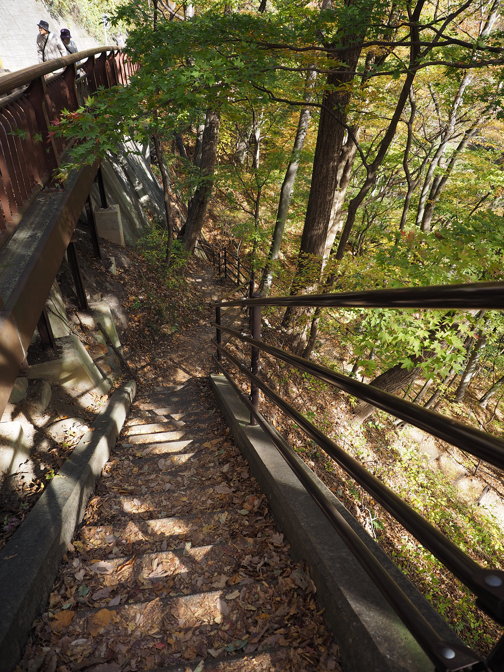 PA310217.jpg