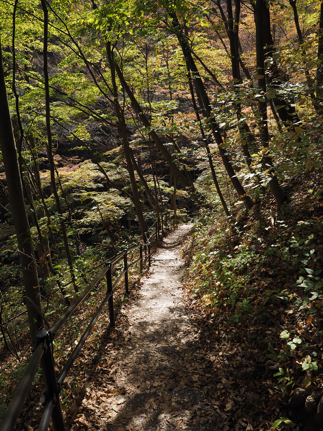 PA310218.jpg