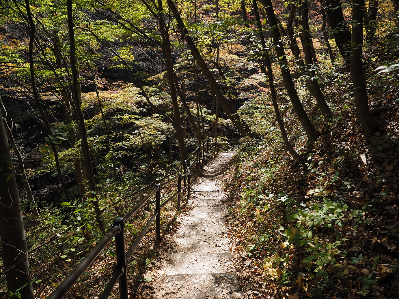 PA310219.jpg