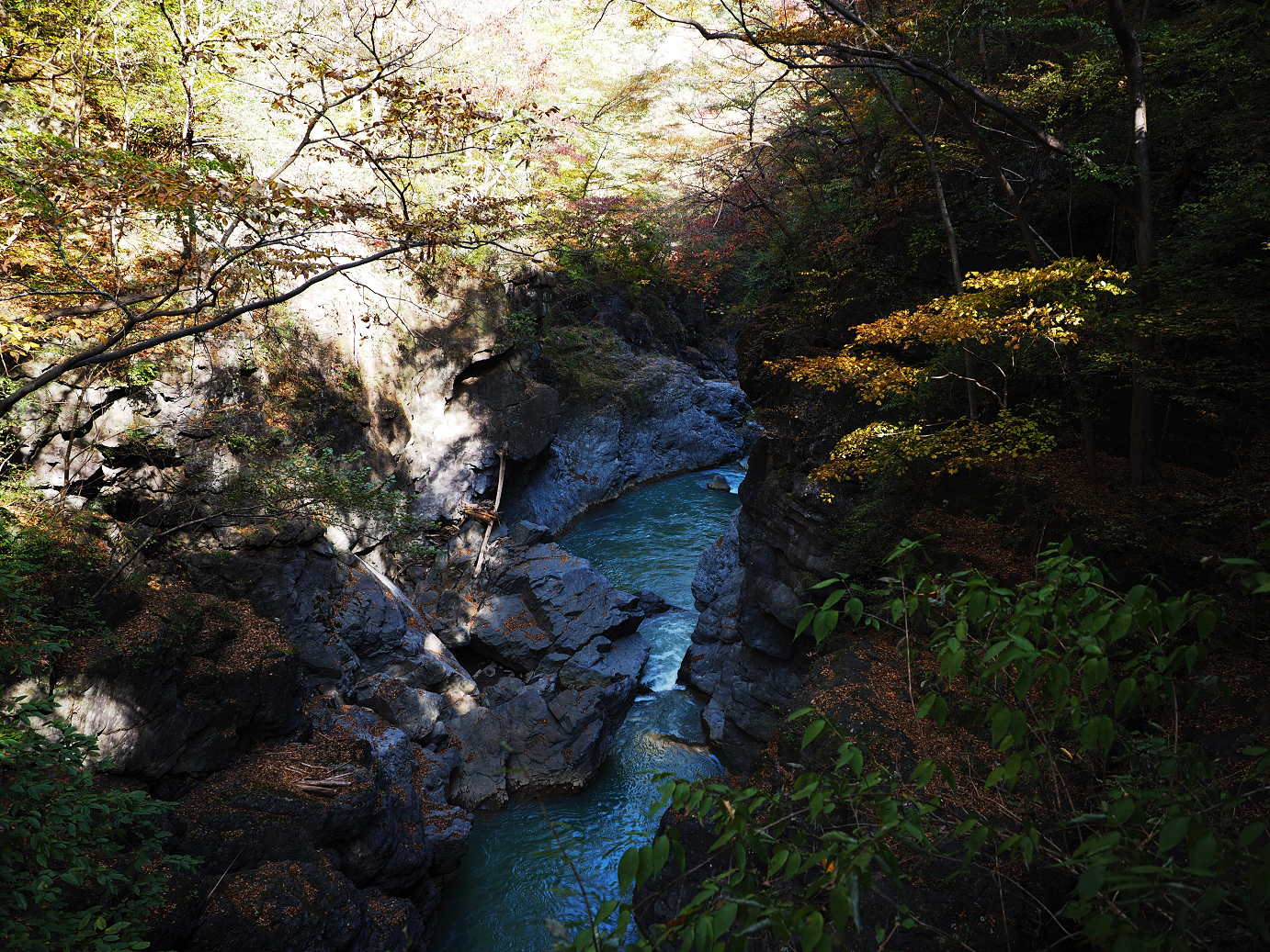 PA310220.jpg