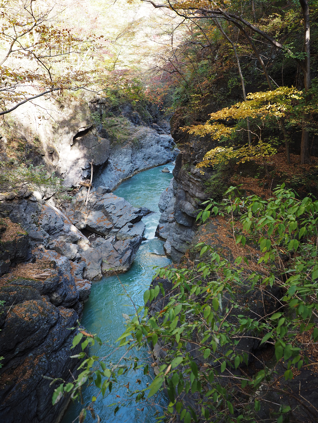 PA310221.jpg