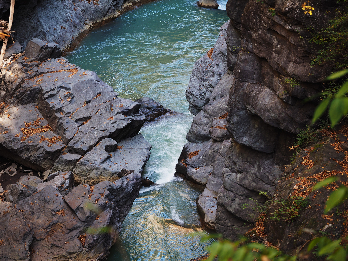 PA310222.jpg