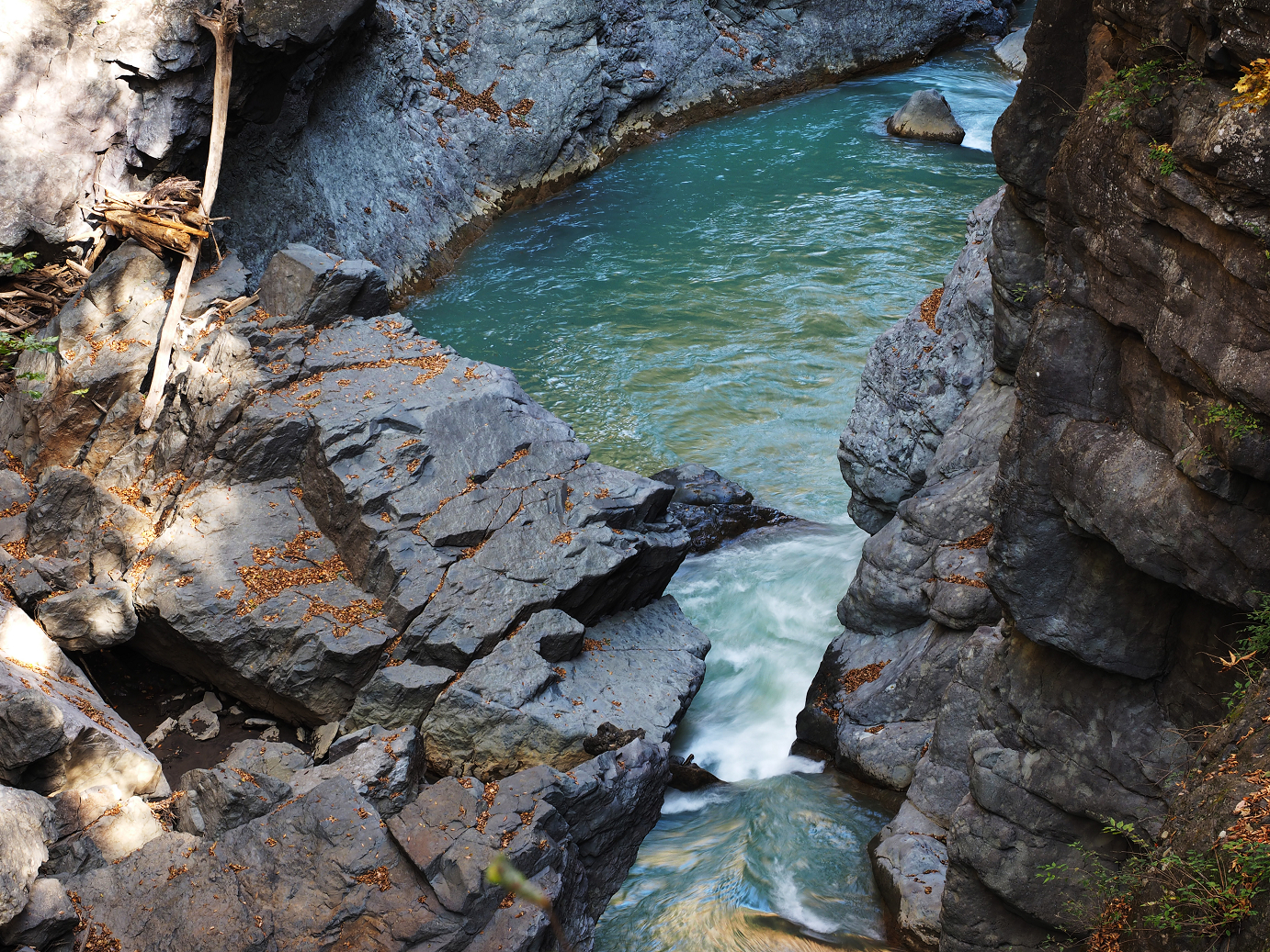 PA310224.jpg