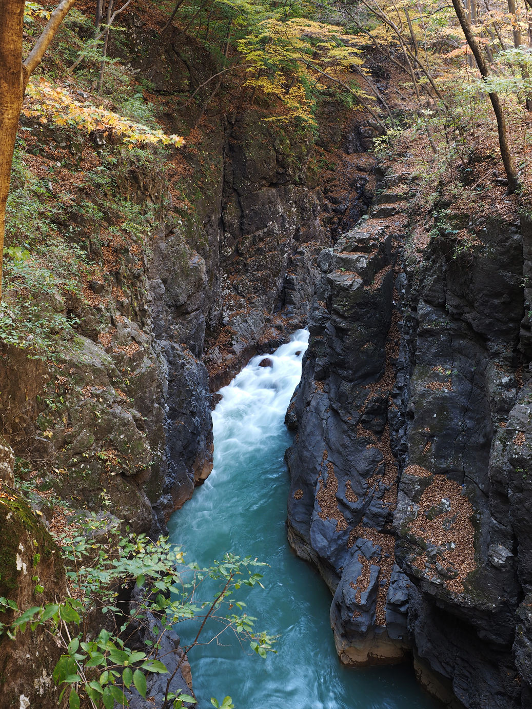 PA310226.jpg