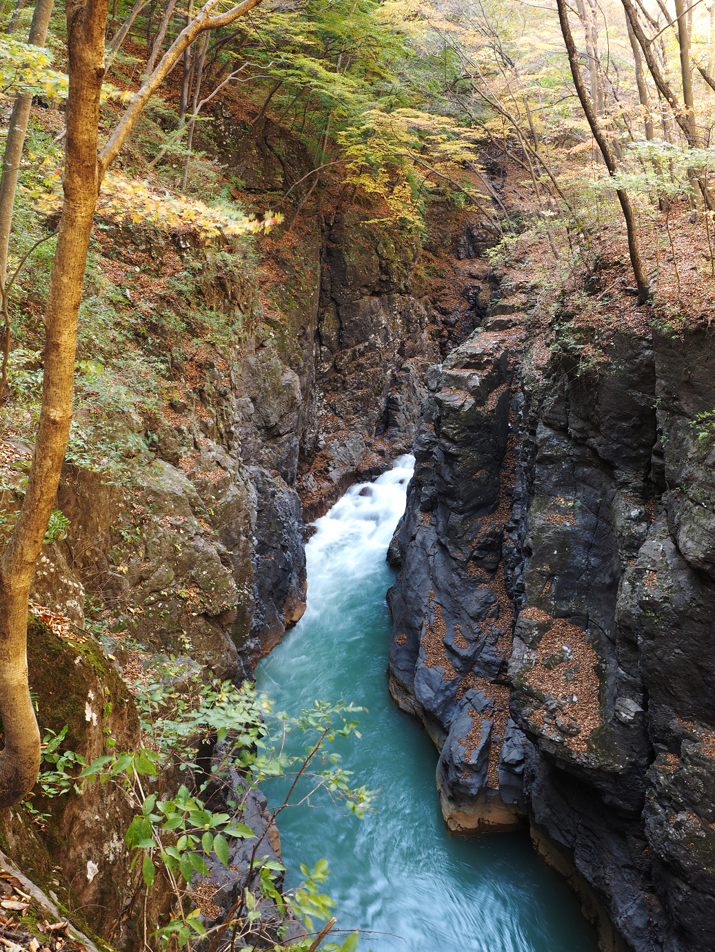 PA310227.jpg