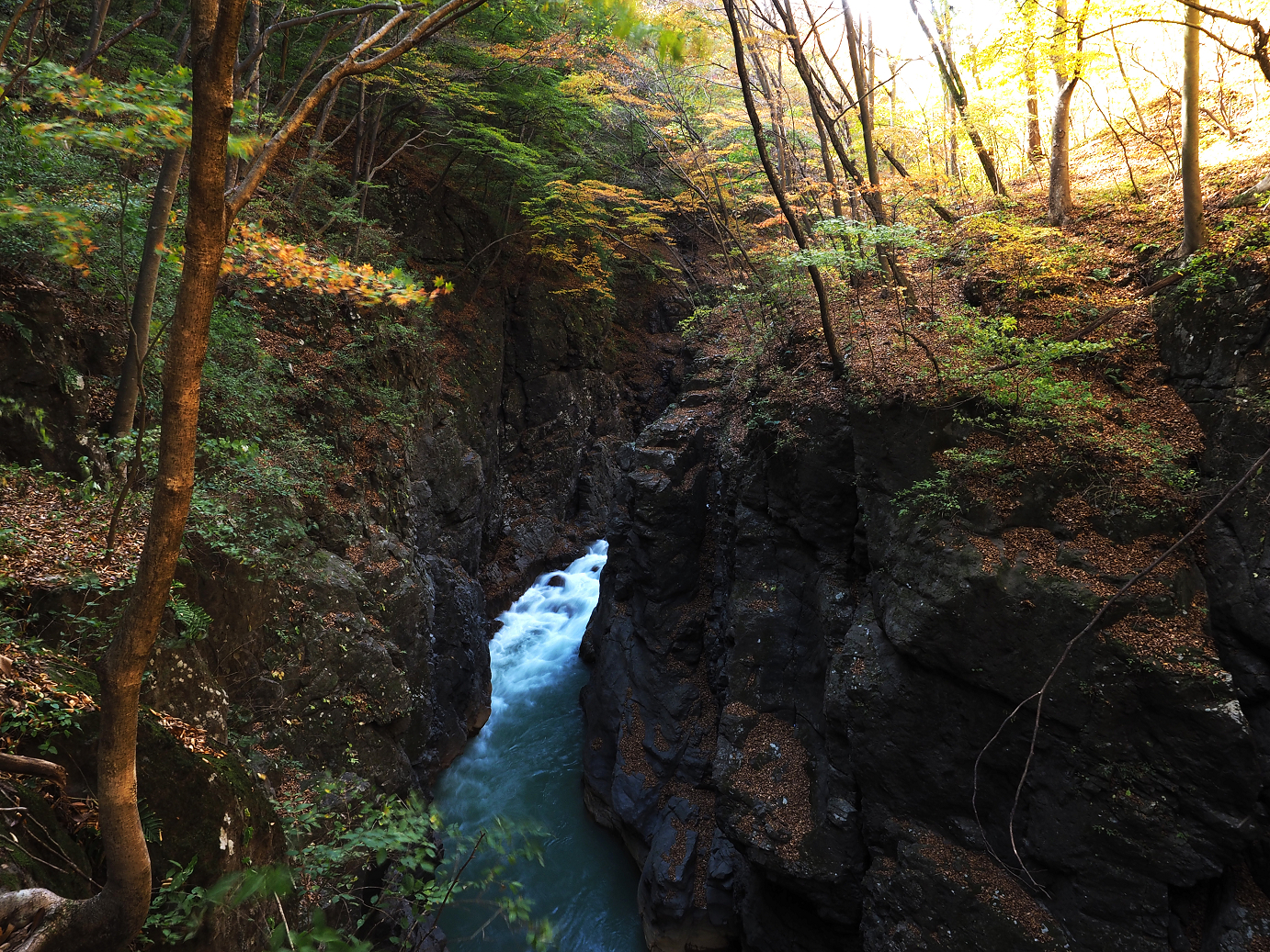 PA310229.jpg
