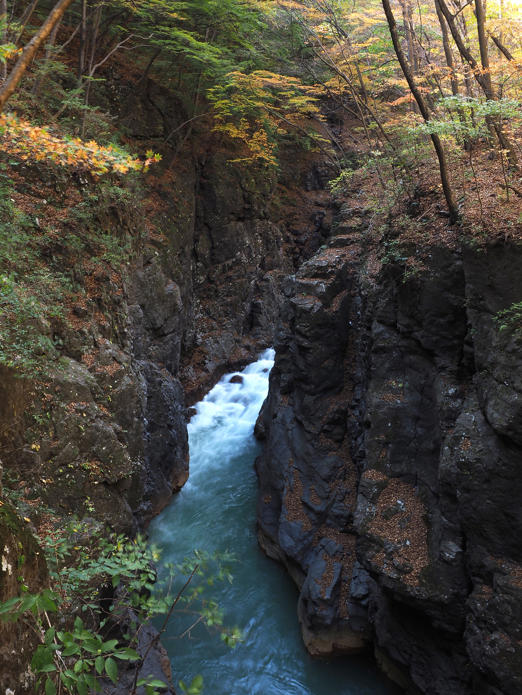 PA310230.jpg