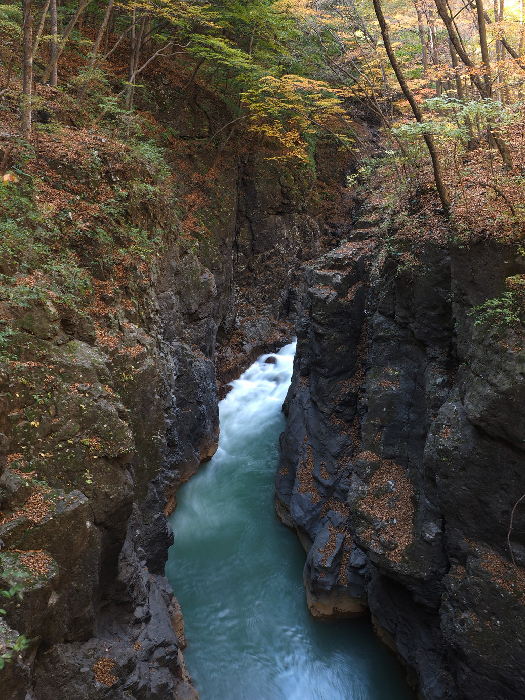 PA310232.jpg