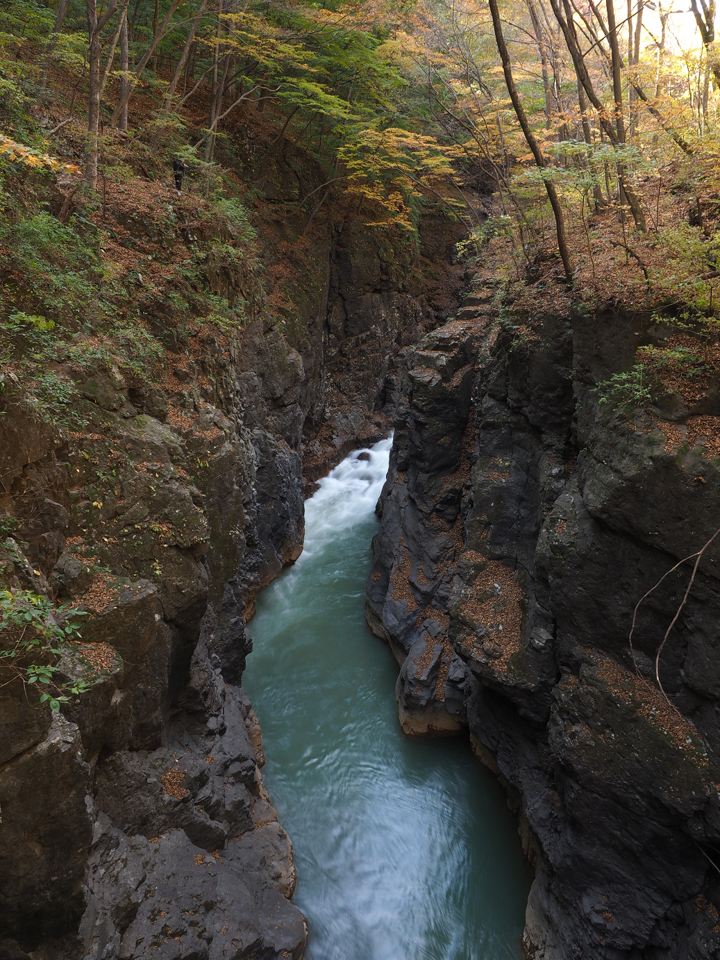 PA310241.jpg