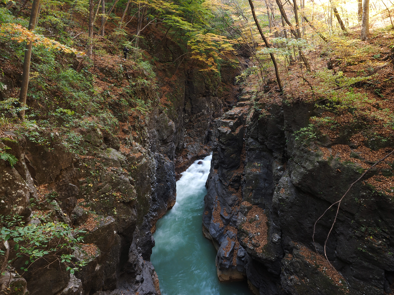 PA310245.jpg