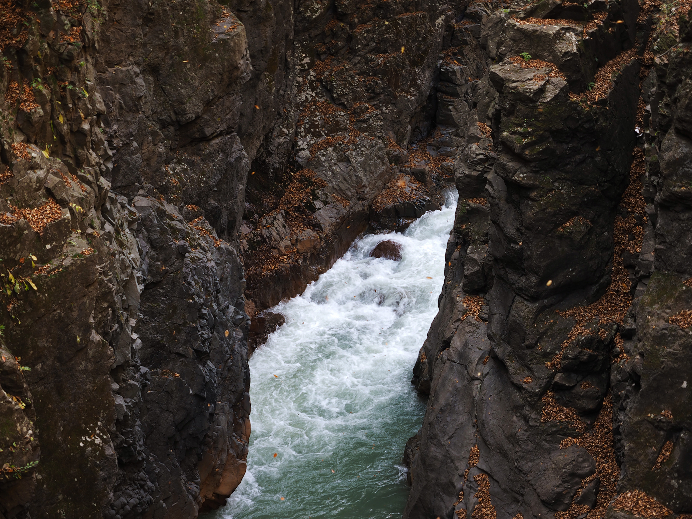 PA310249.jpg