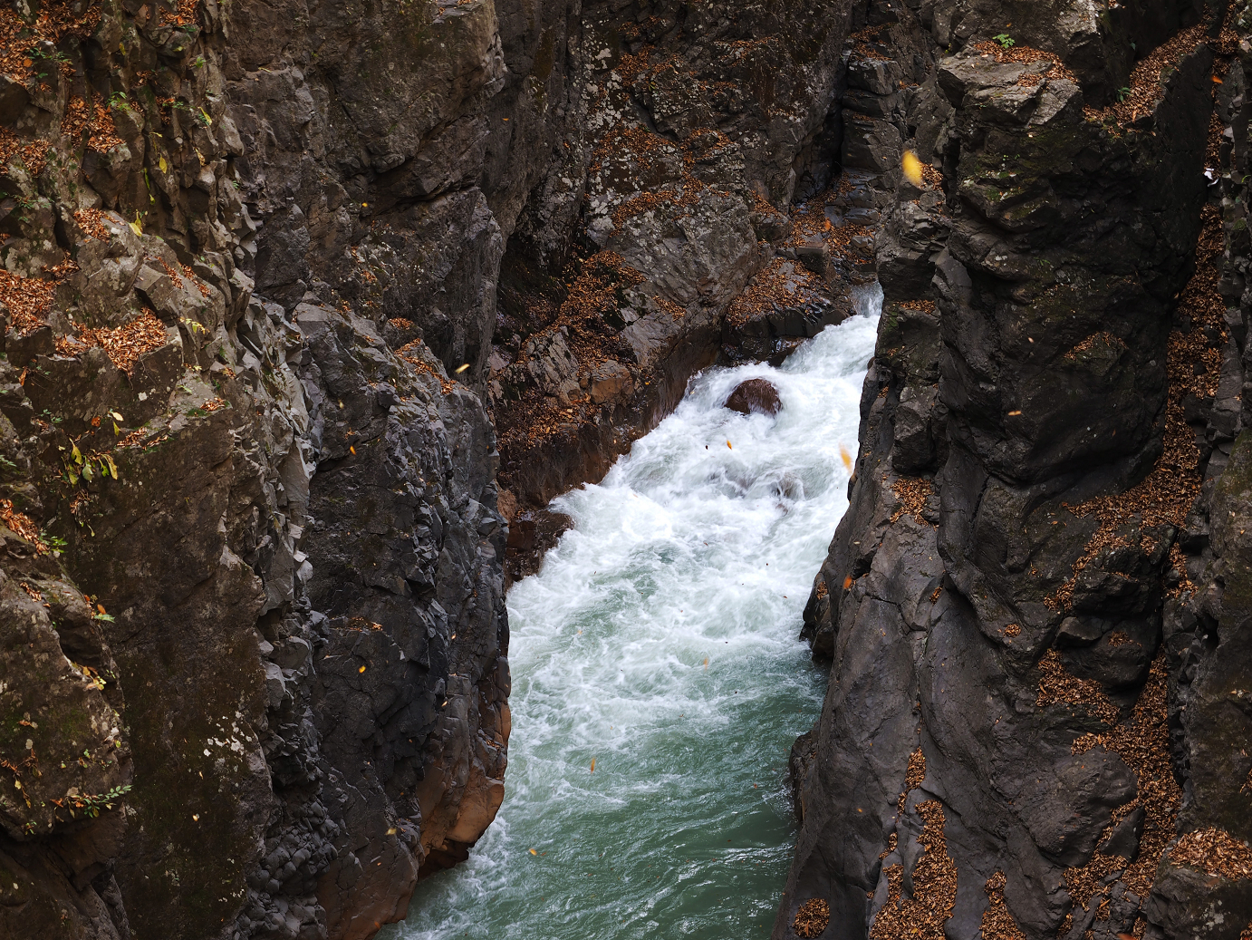 PA310250.jpg