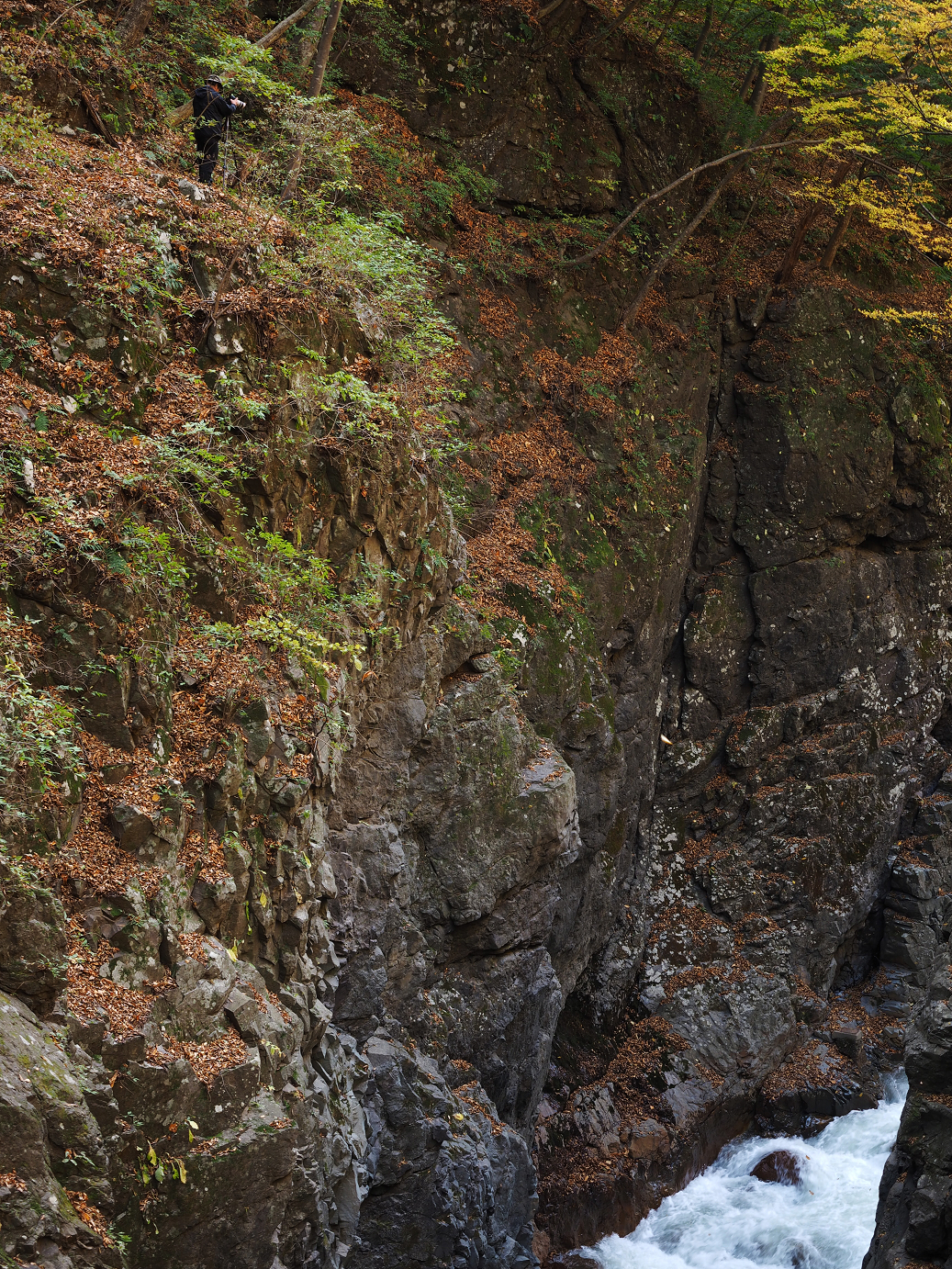 PA310251.jpg