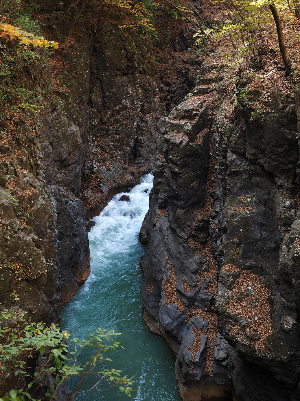 PA310252.jpg