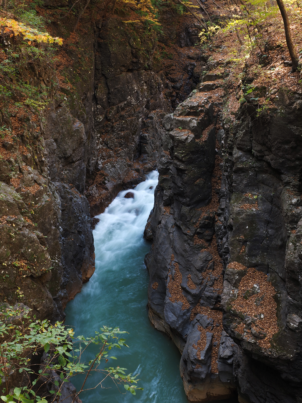 PA310253.jpg