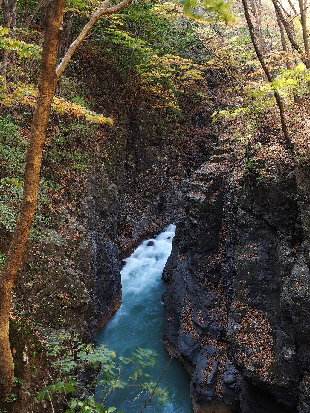 PA310255.jpg