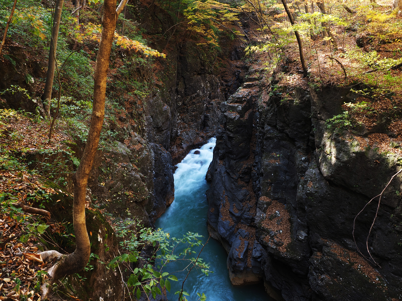 PA310261.jpg