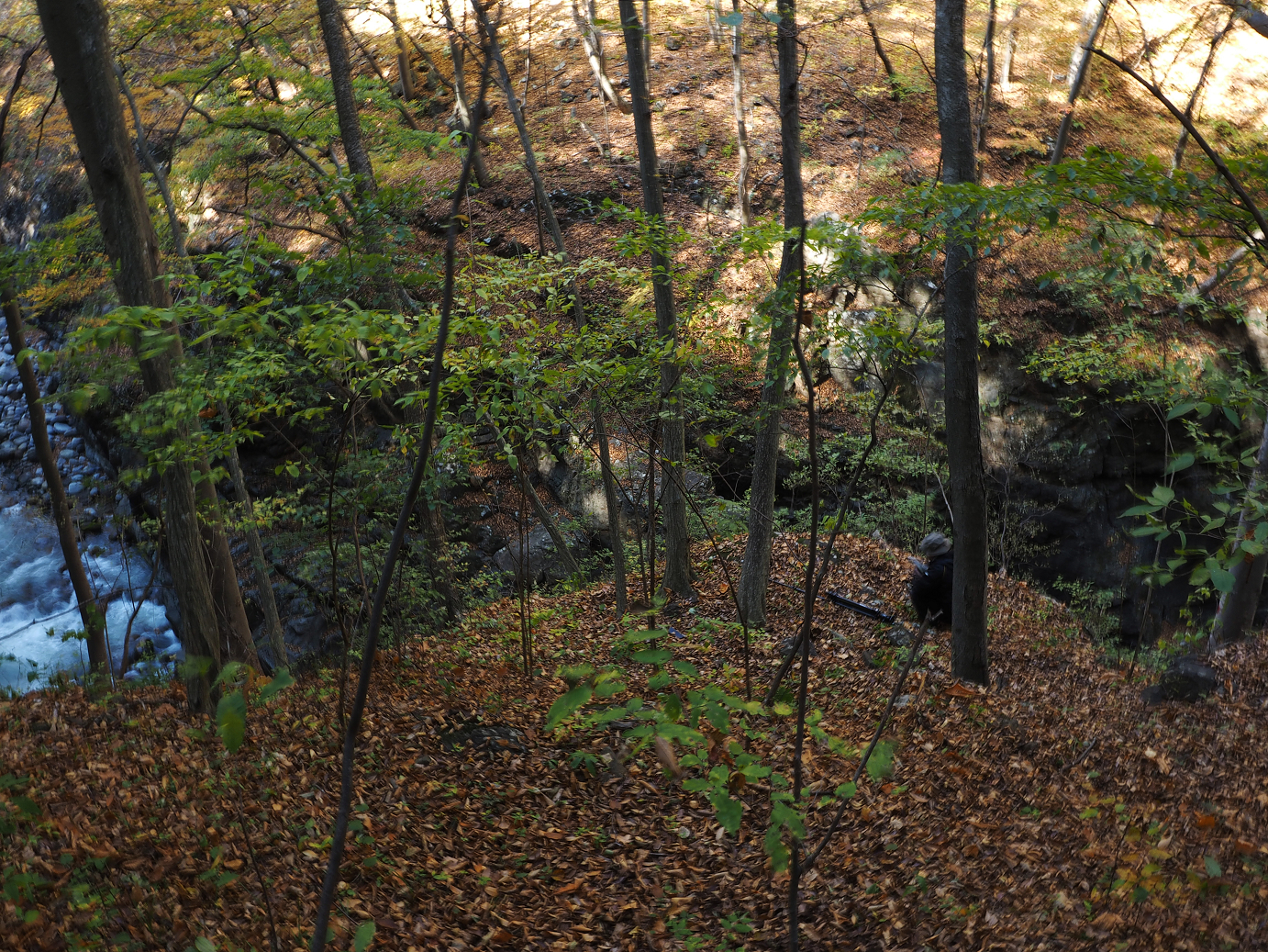 PA310262.jpg