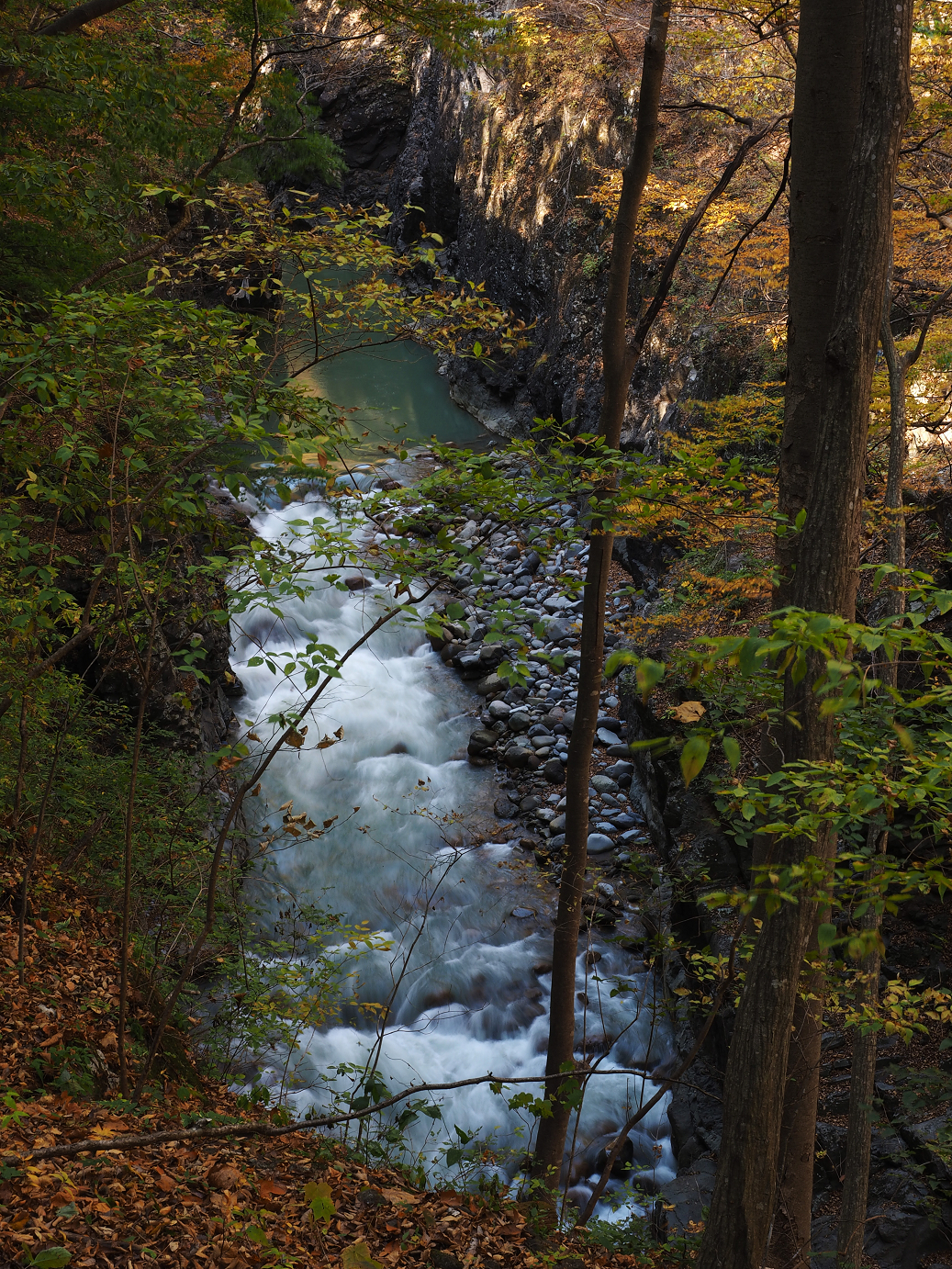 PA310263.jpg