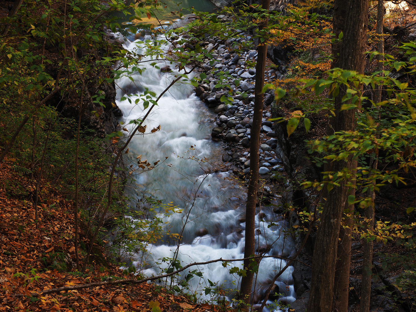PA310264.jpg