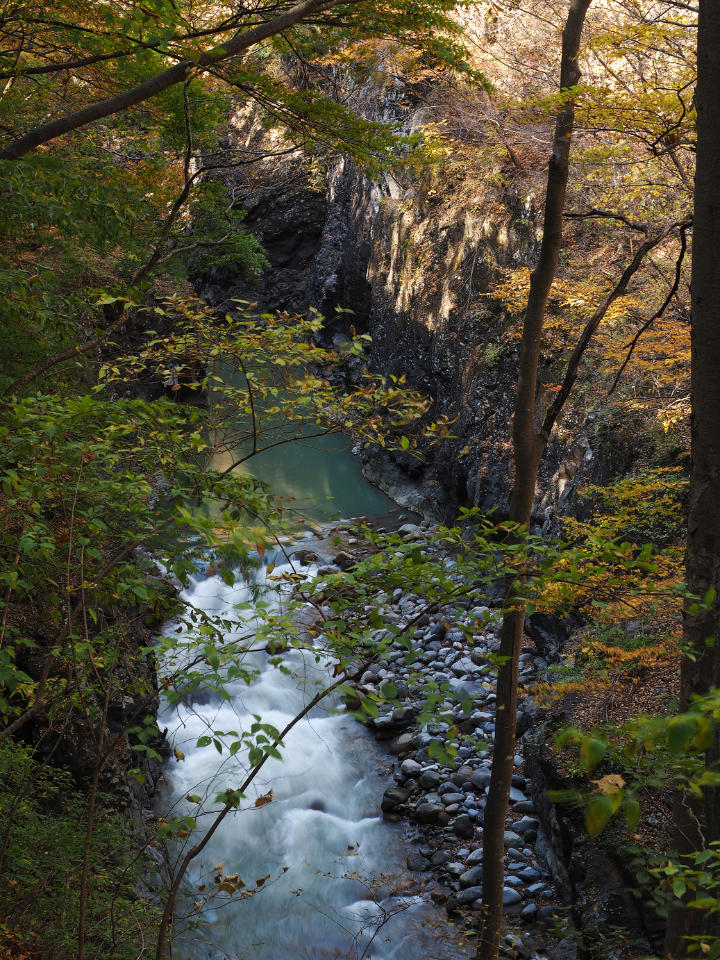 PA310265.jpg