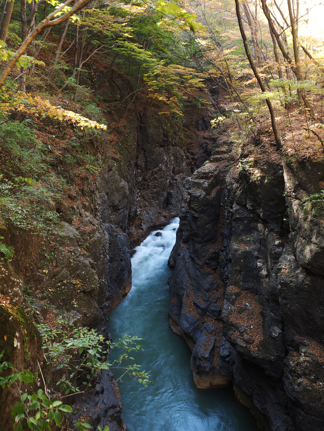 PA310267.jpg