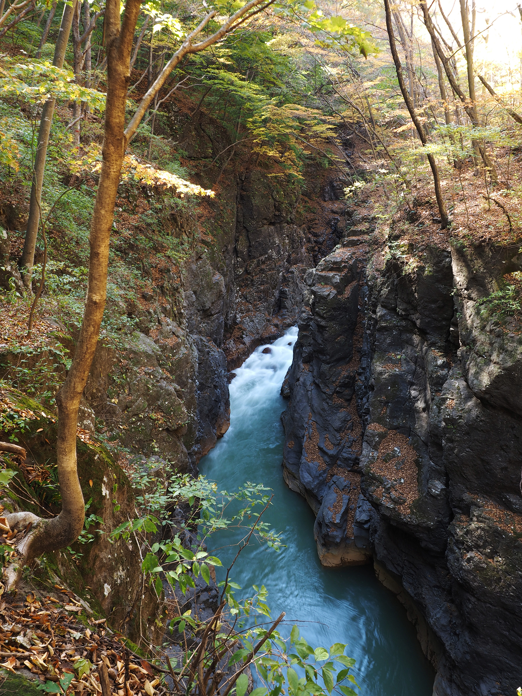 PA310270.jpg