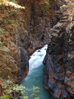 PA310272_thumb.png