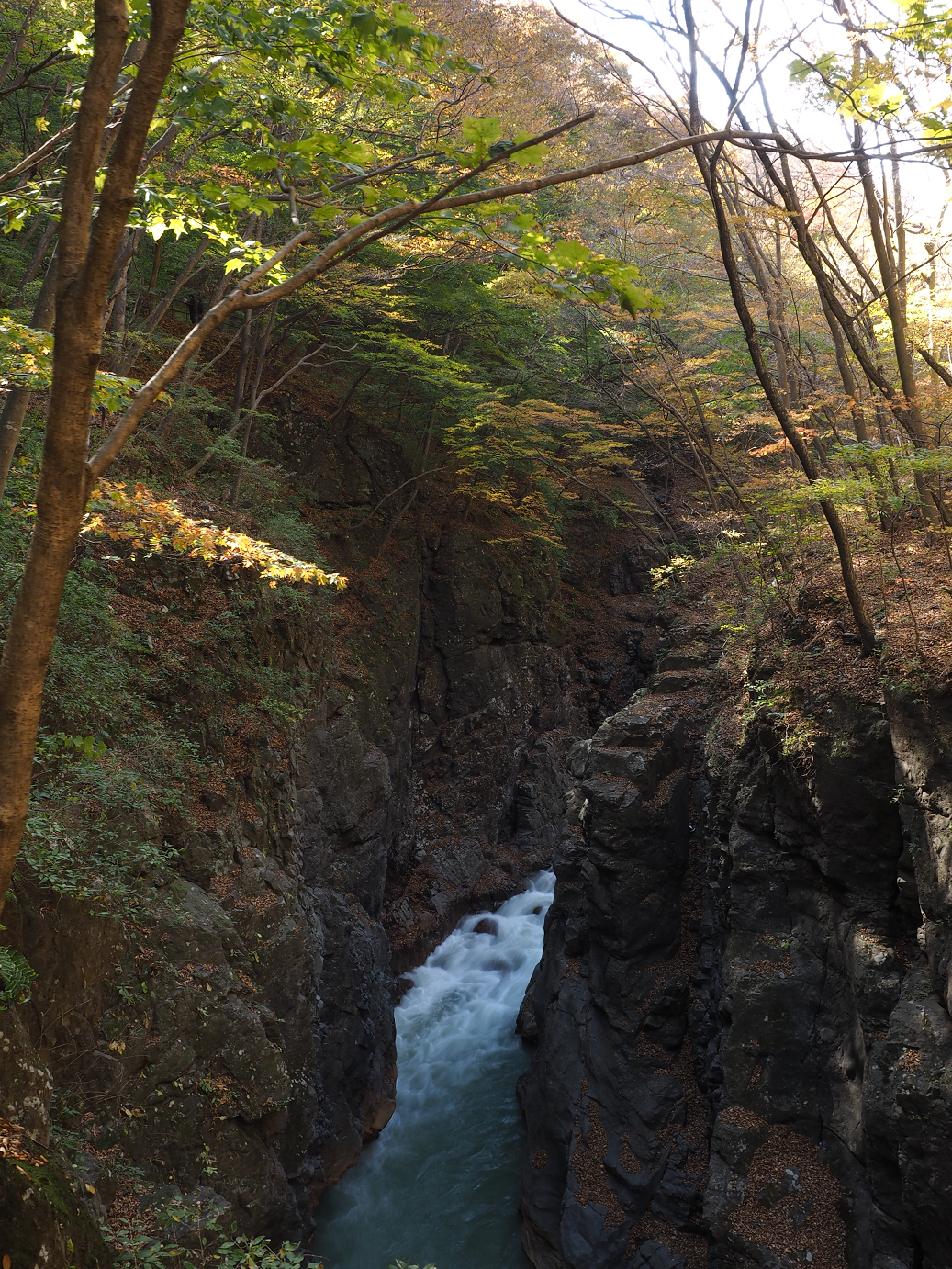 PA310275.jpg