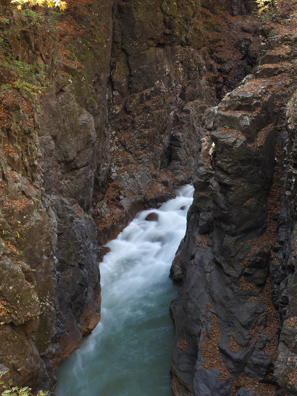PA310278.jpg