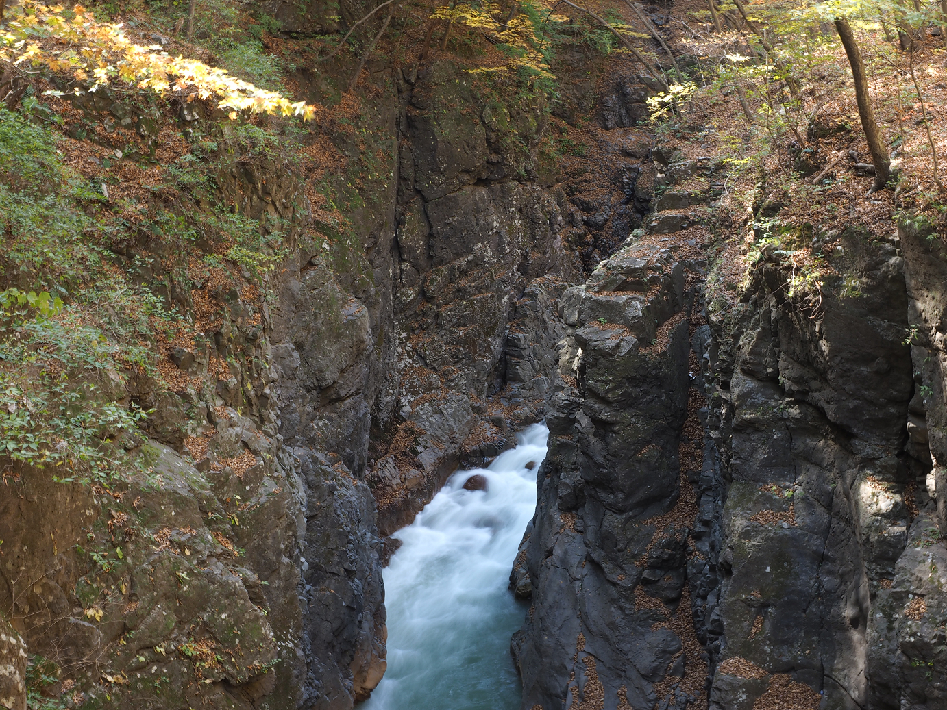 PA310279.jpg