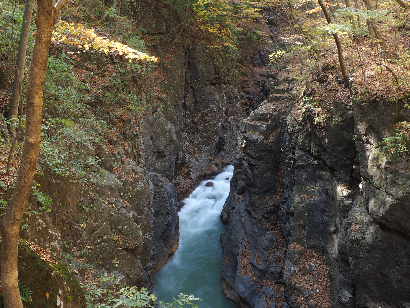 PA310280.jpg