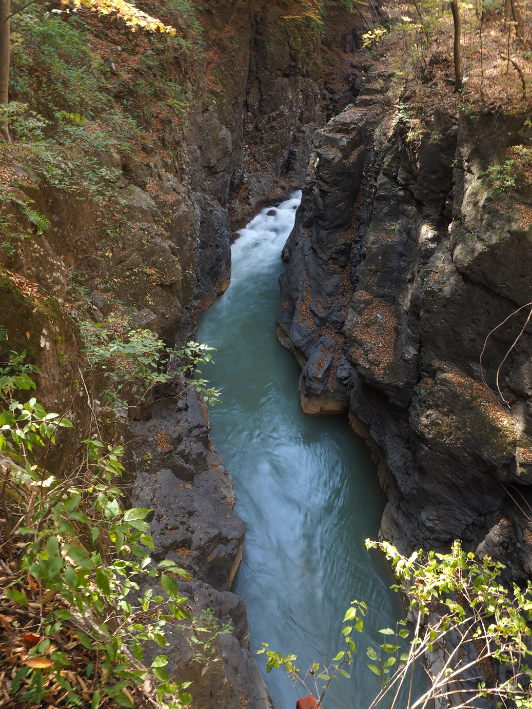 PA310281.jpg