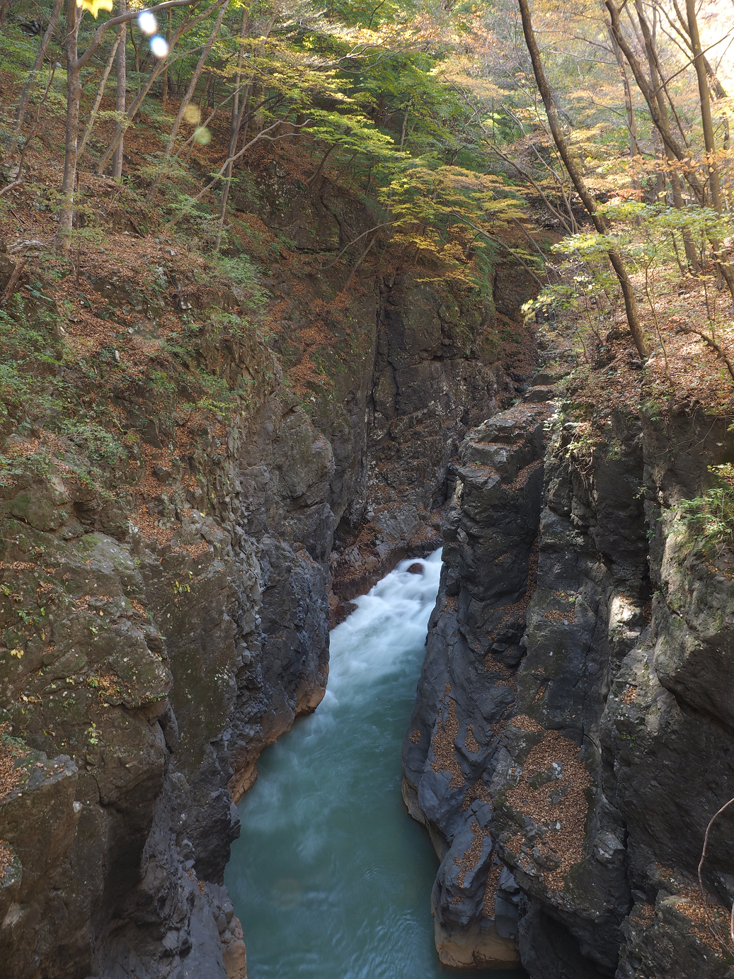 PA310282.jpg